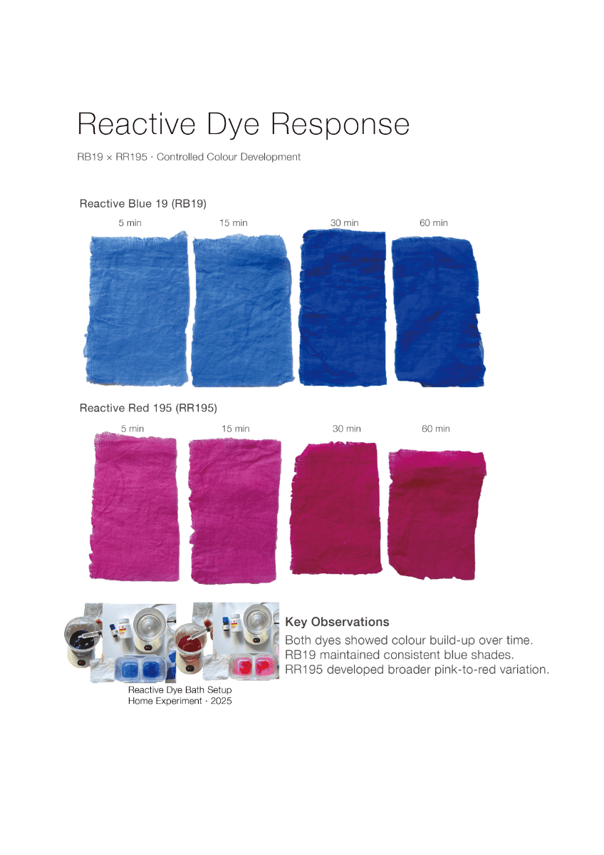 DYELIGHT: A Sustainable Dye Decision-Support Framework, portfolio item 5