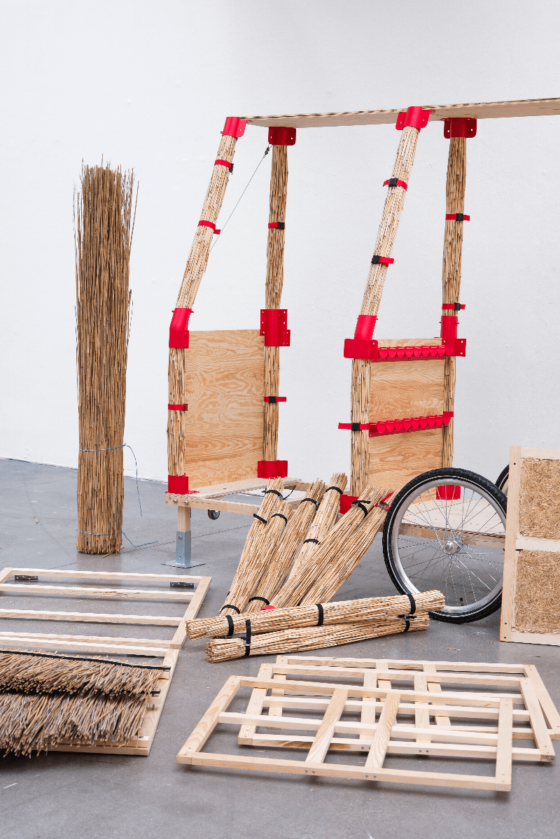 The Reed Cycle community, portfolio item 2