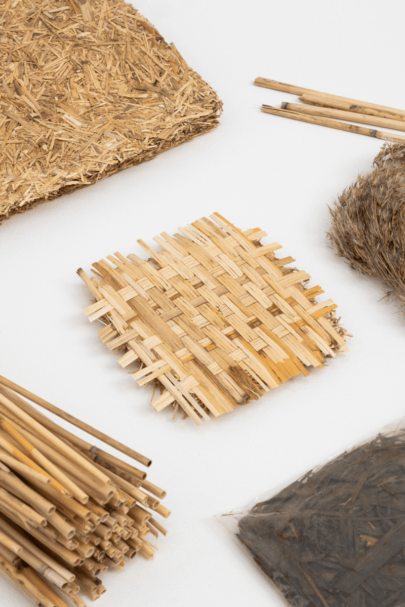 The Reed Cycle community, portfolio item 5