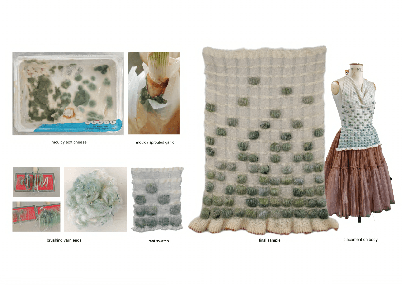Fragments of growth, portfolio item 19