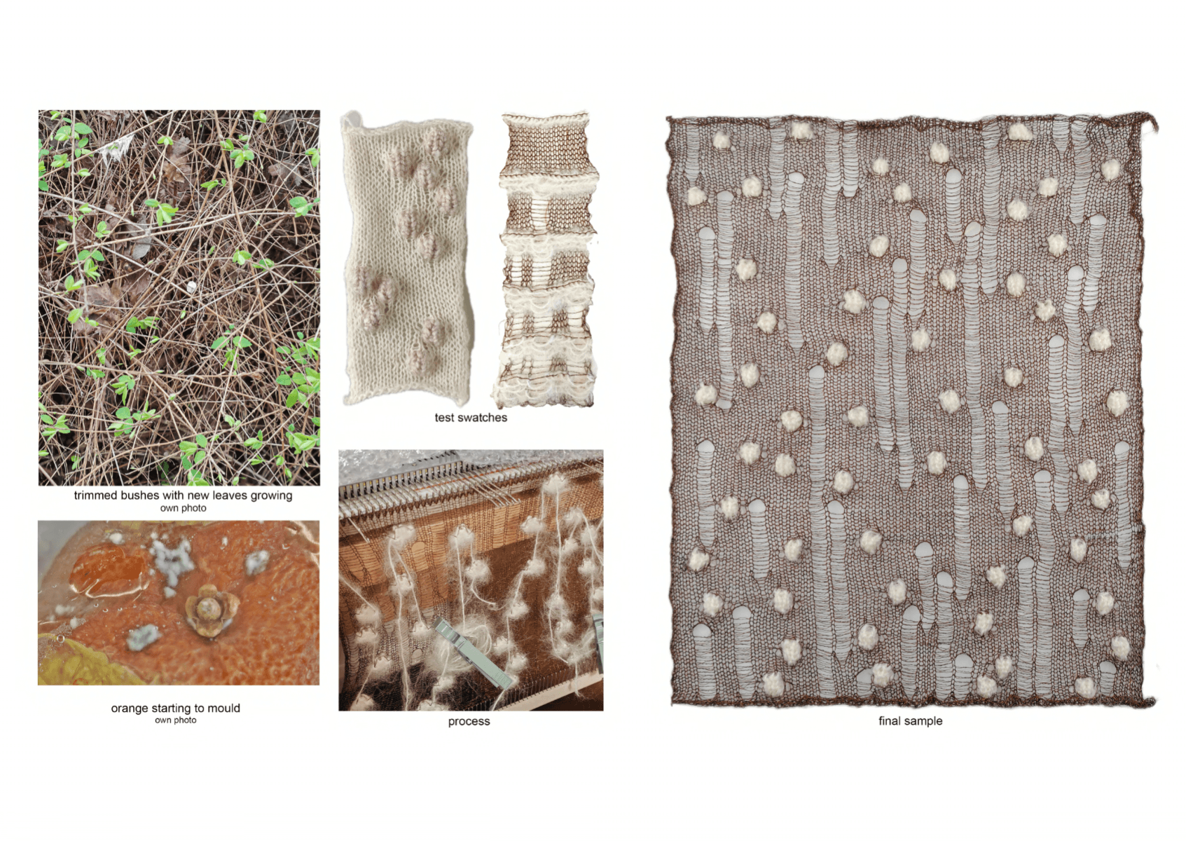 Fragments of growth, portfolio item 18