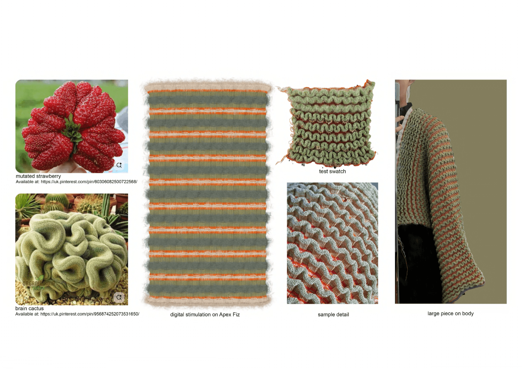 Fragments of growth, portfolio item 15