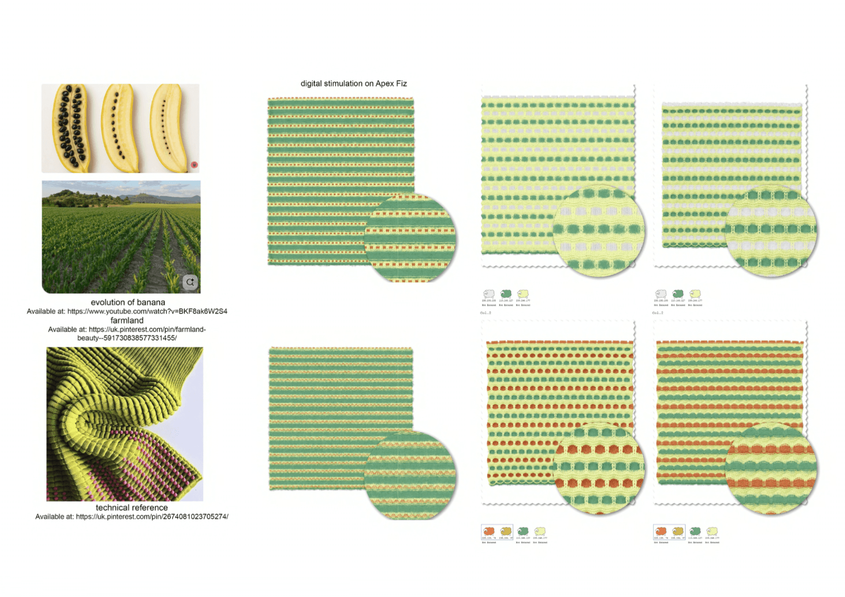 Fragments of growth, portfolio item 13