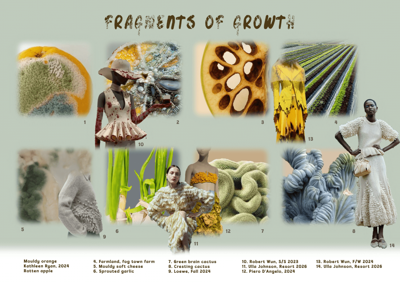 Fragments of growth, portfolio item 3
