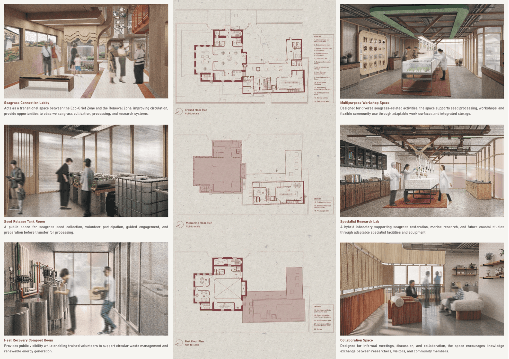 Portobello Eco-Grief and Renewal Centre, portfolio item 6