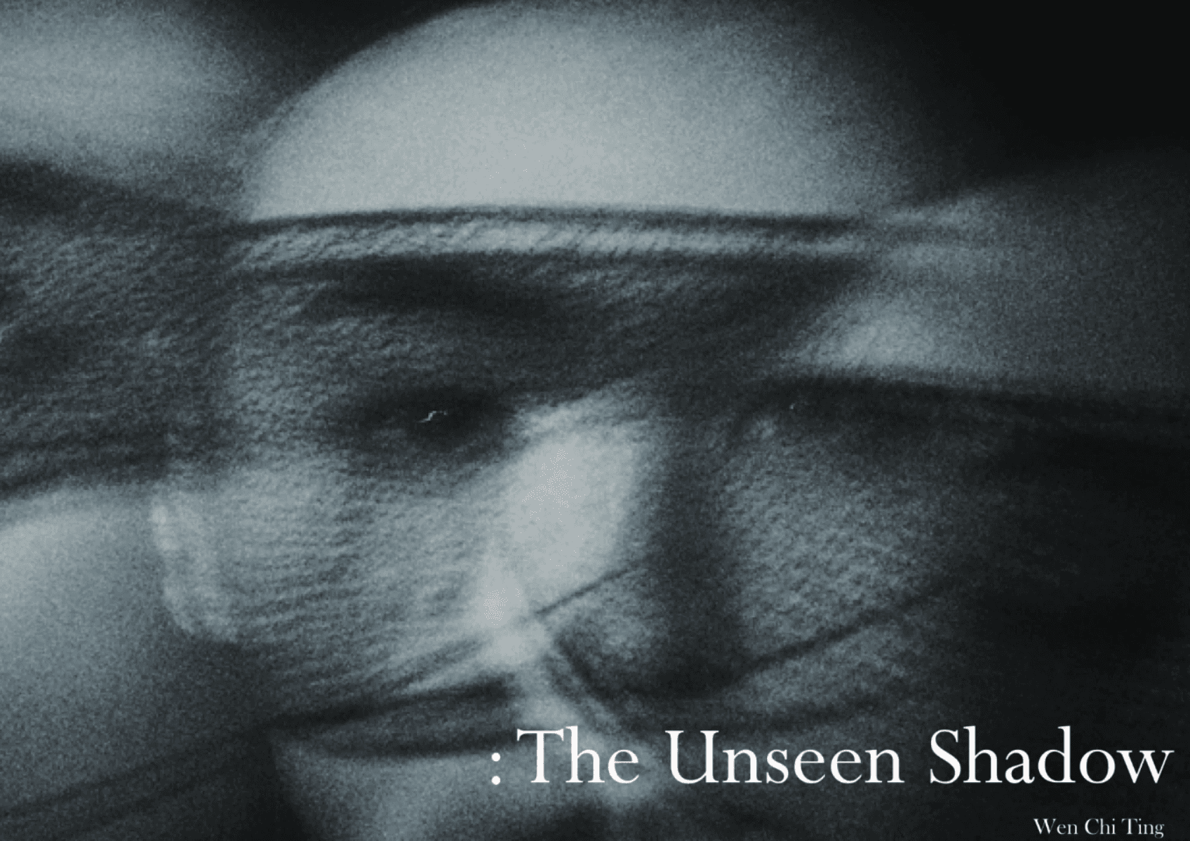 The Unseen Shadow, portfolio item 1