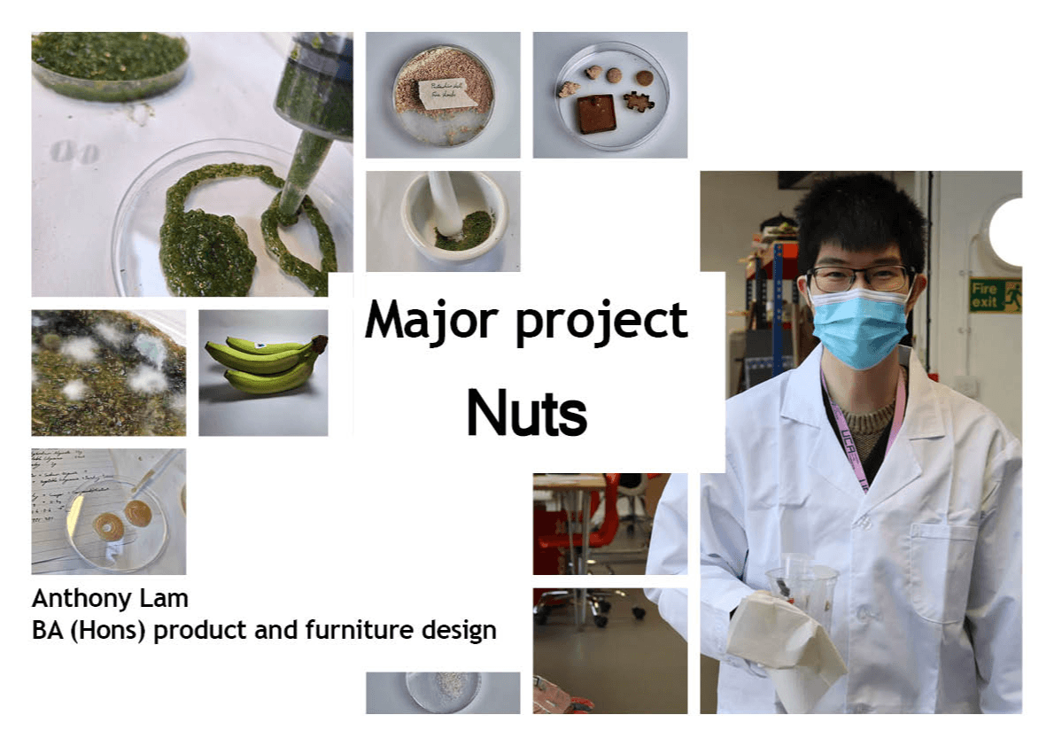 Final major project: Nuts, portfolio item 21