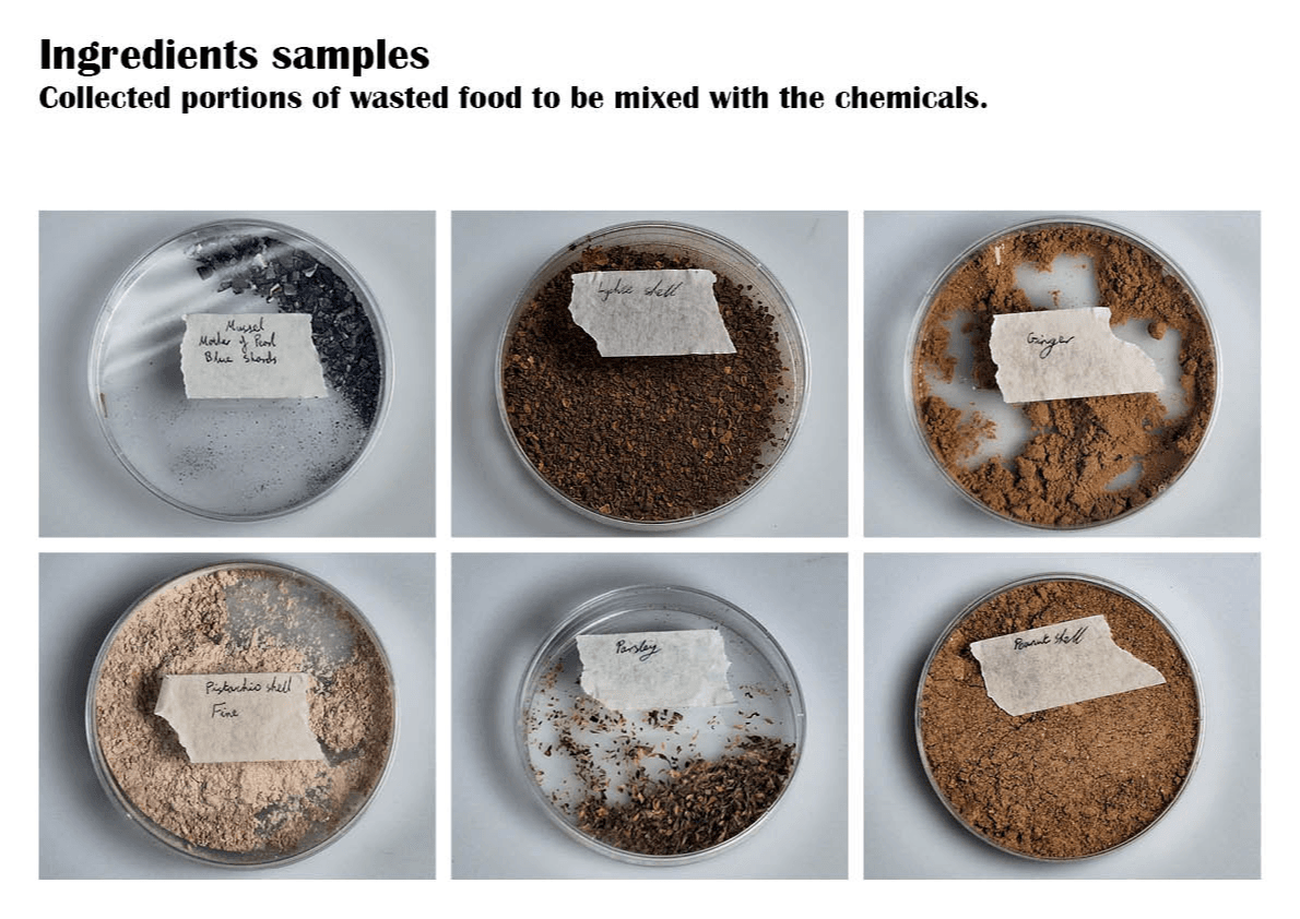 Final major project: Nuts, portfolio item 23