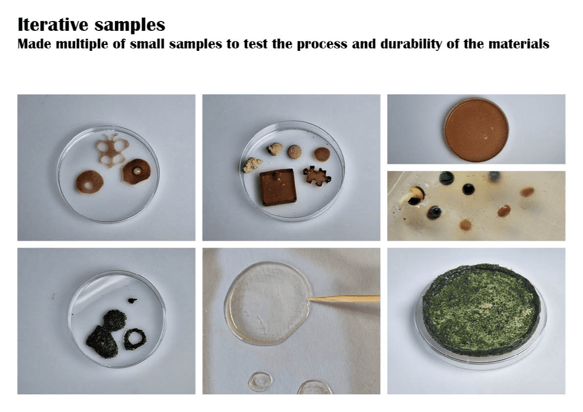 Final major project: Nuts, portfolio item 26