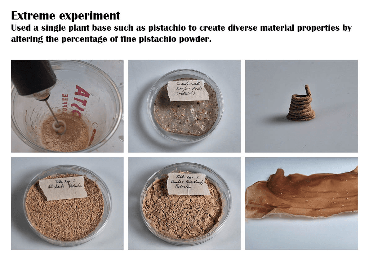 Final major project: Nuts, portfolio item 27