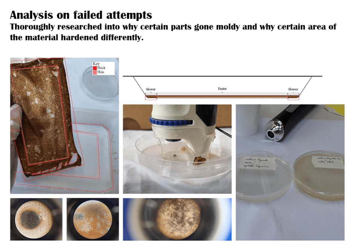 Final major project: Nuts, portfolio item 31