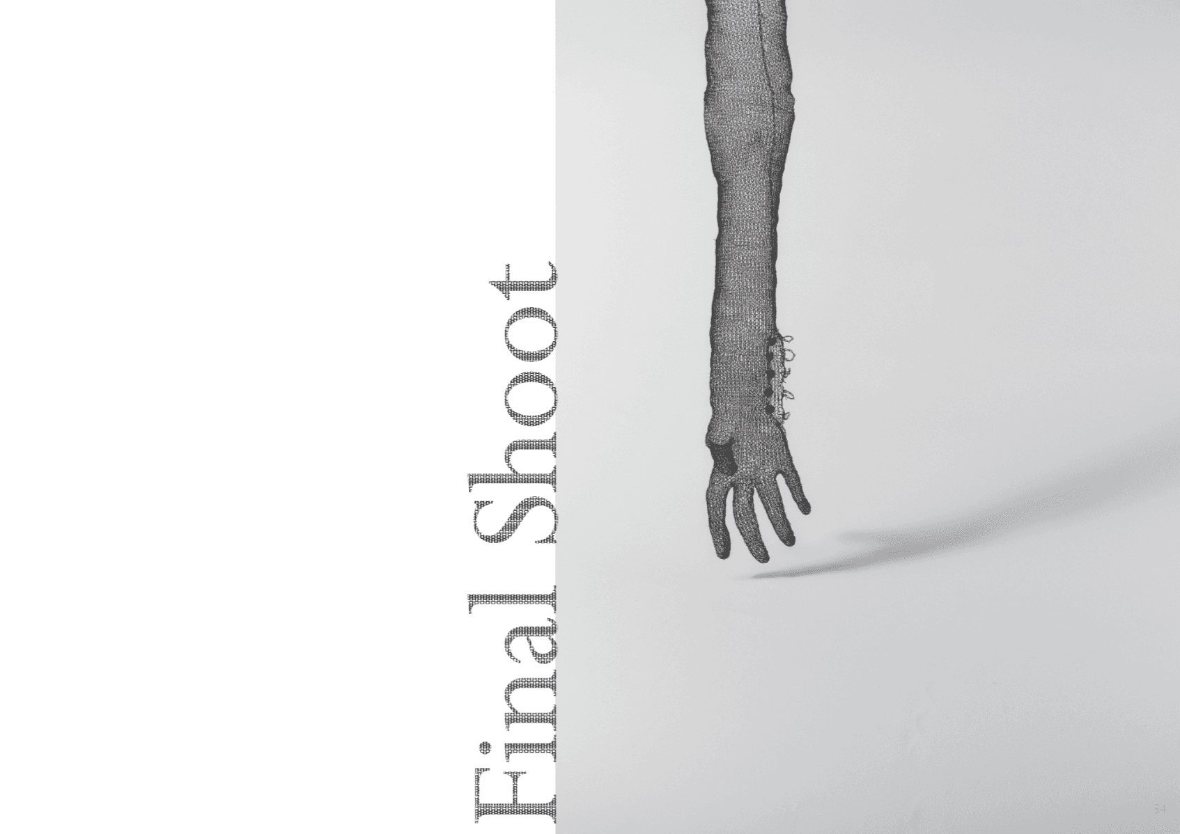 The Unseen Shadow, portfolio item 14