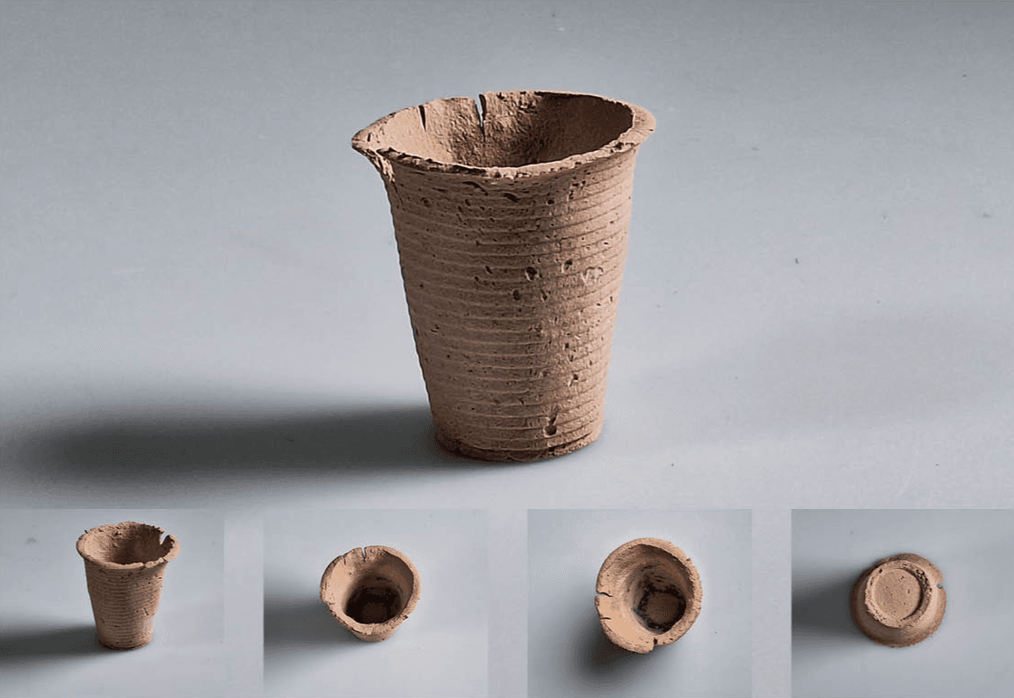 Final major project: Nuts, portfolio item 17