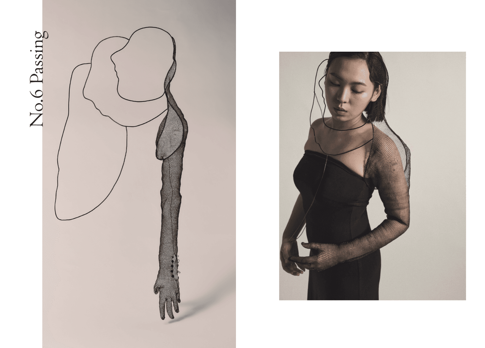 The Unseen Shadow, portfolio item 25