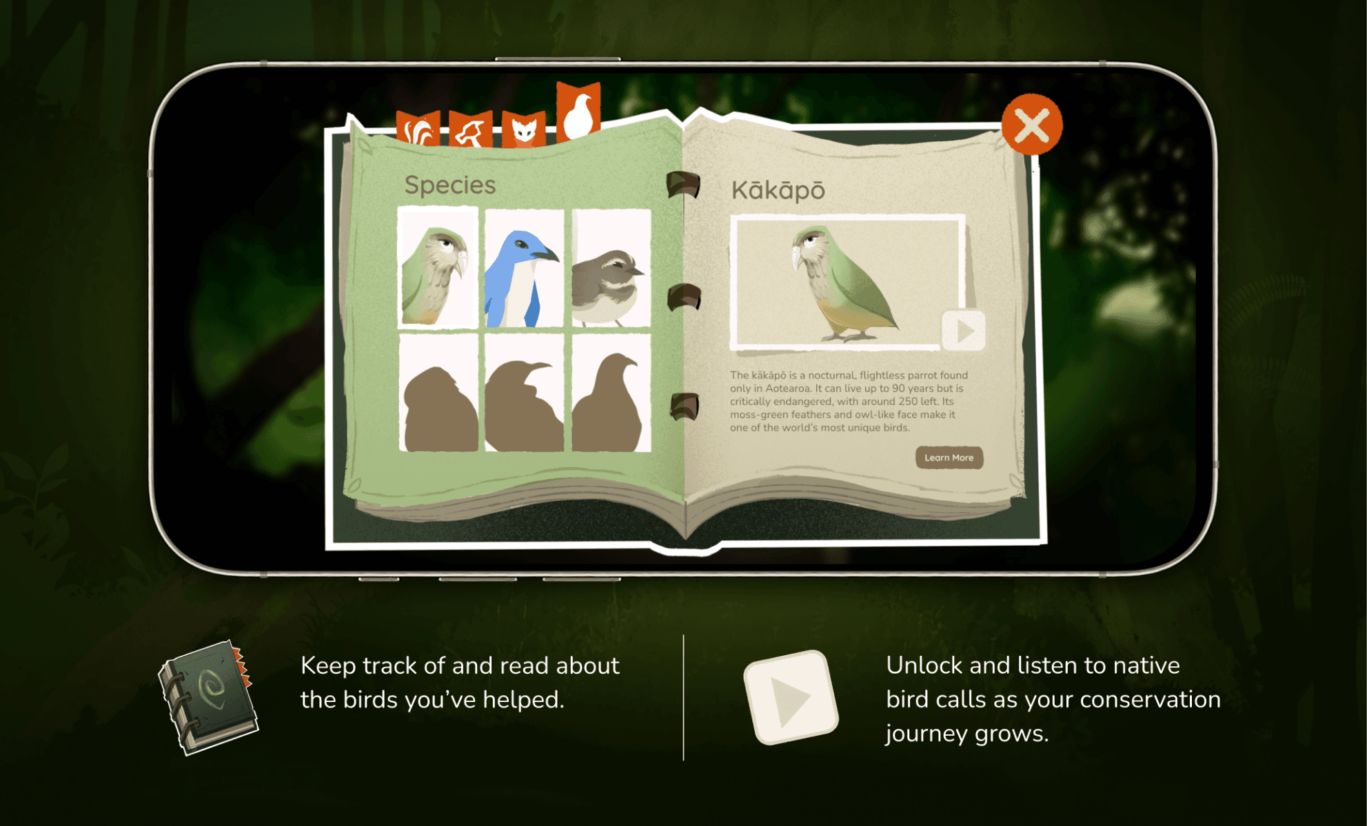 Calls of the wild, portfolio item 6