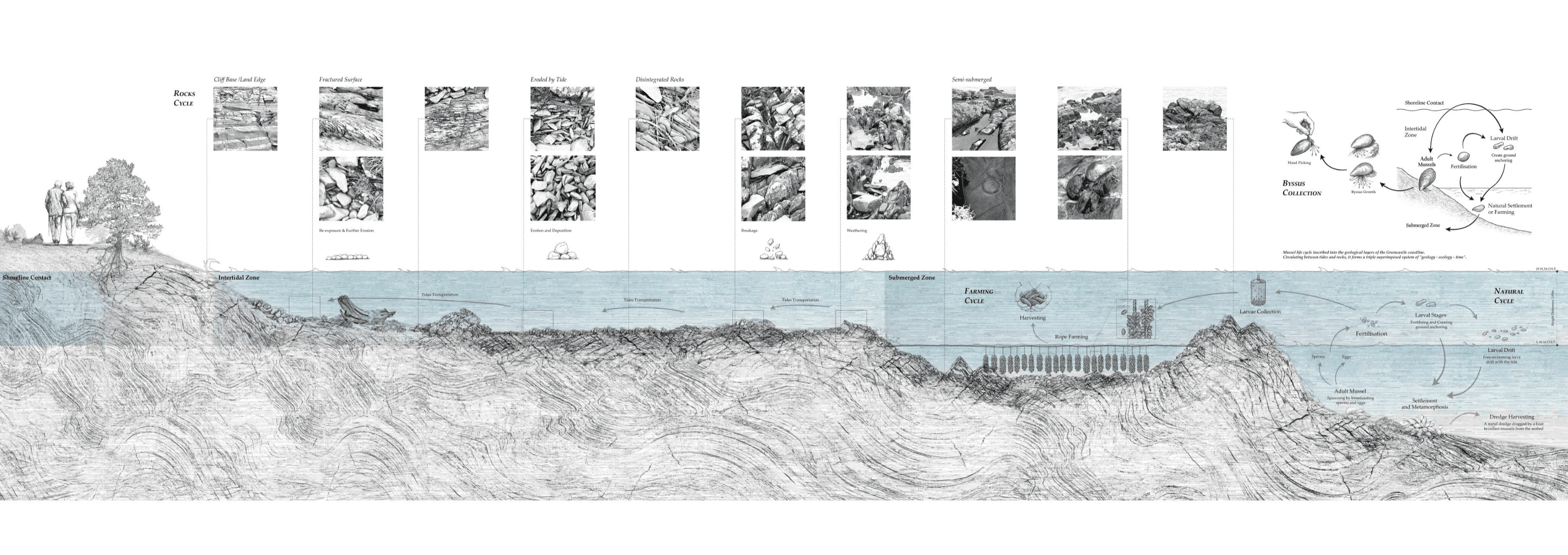 Shellitory: Intertwining the Shifting Edge at Greencastle, portfolio item 5
