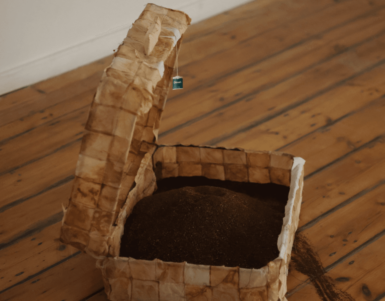 Where do we go, portfolio item 9