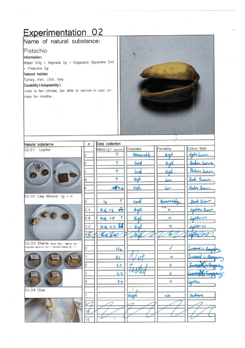 Final major project: Nuts, portfolio item 45