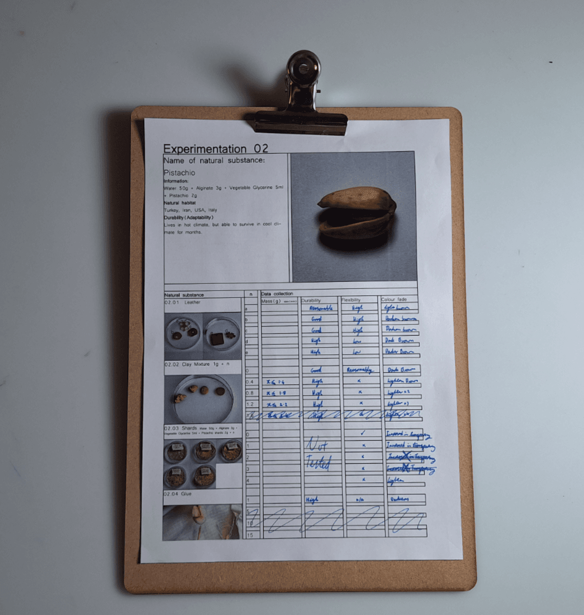 Final major project: Nuts, portfolio item 44