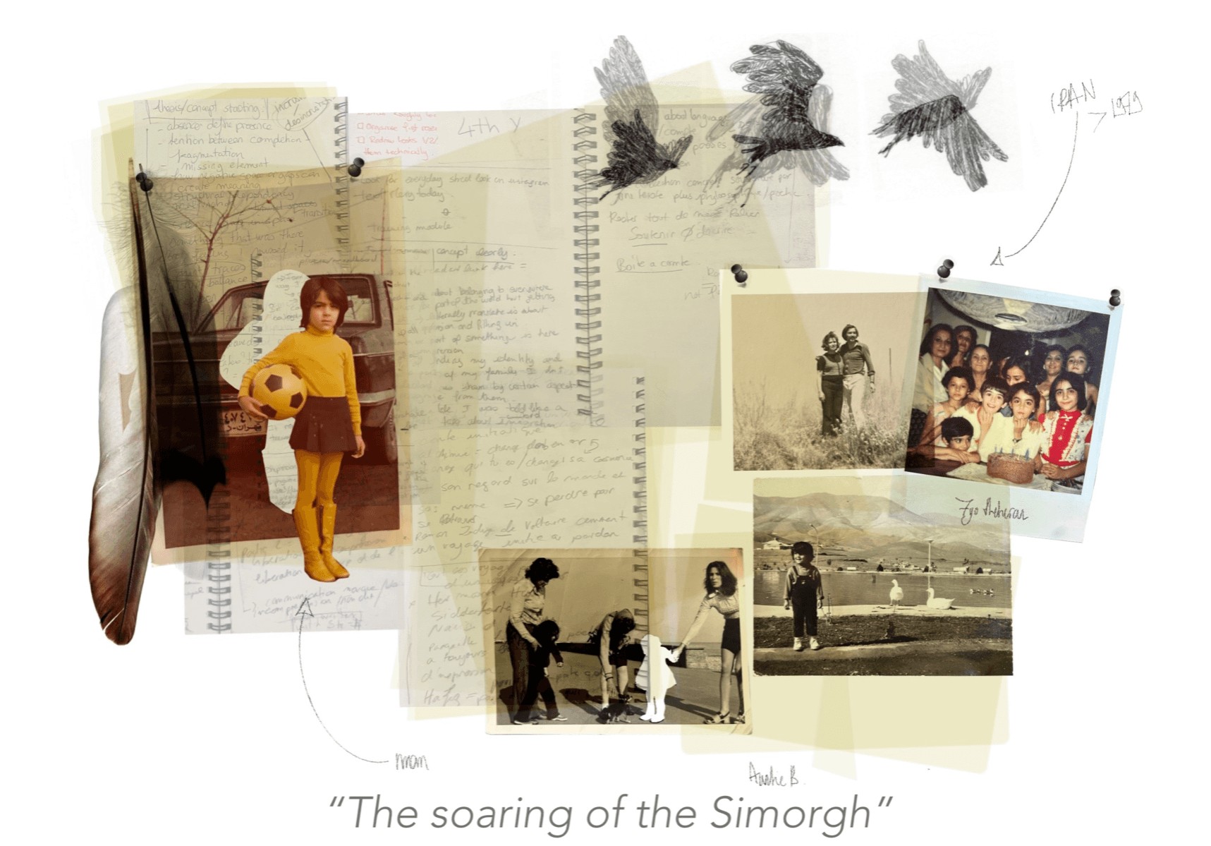 The soaring of the simorgh, portfolio item 3