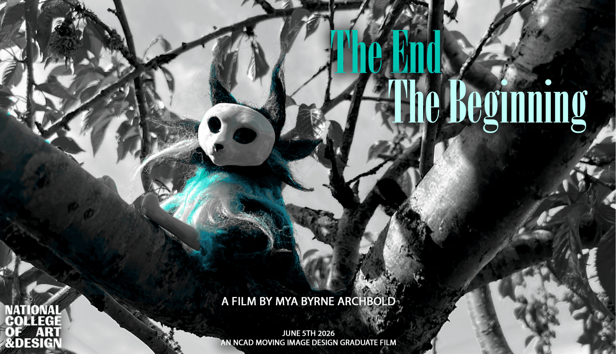 The End, The Beginning, portfolio item 4