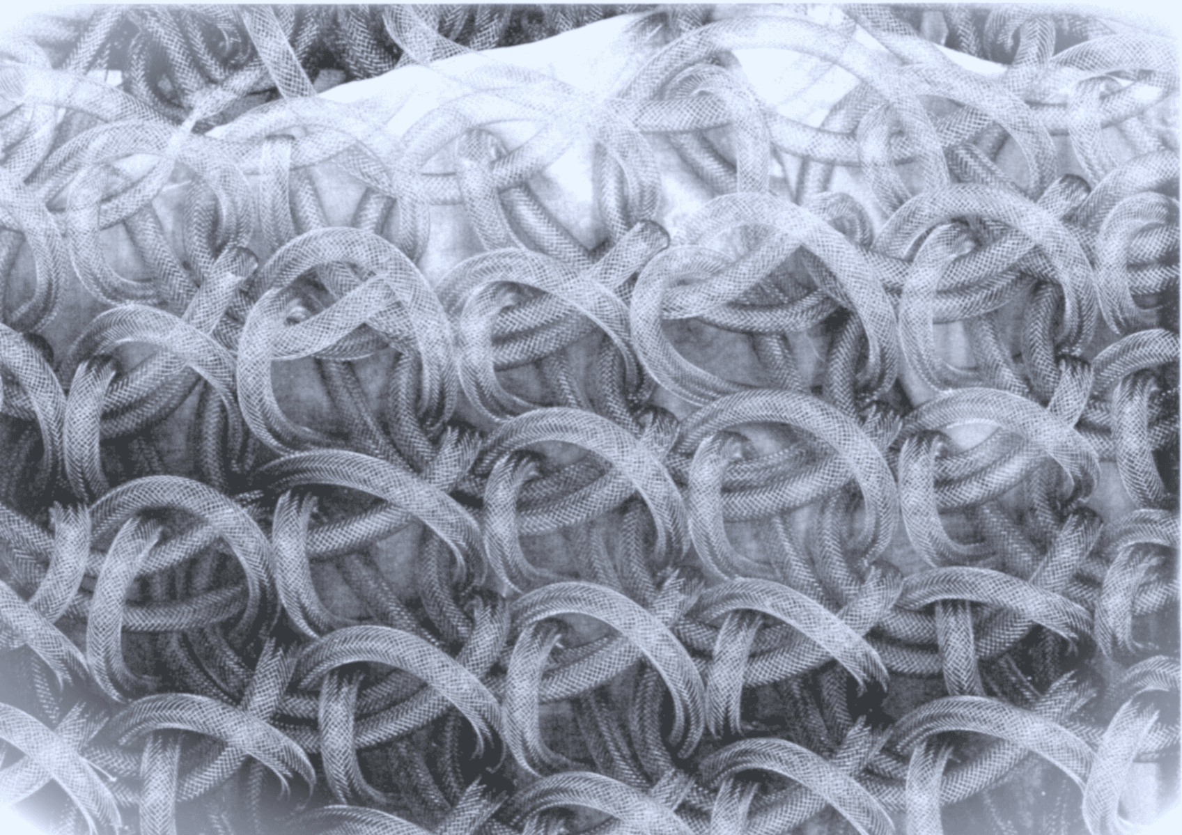 Fragile forces, portfolio item 1