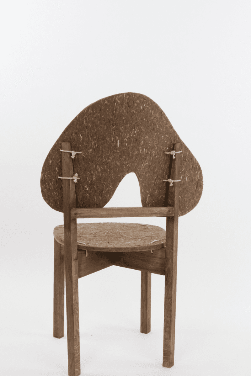 Knøv – Turning eelgrass into the furniture of the future, portfolio item 4