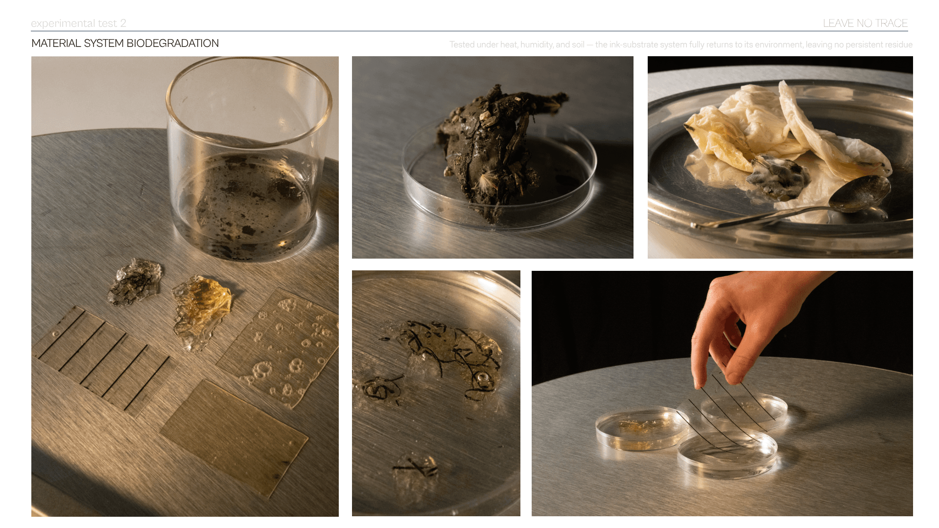 Leave No Trace, portfolio item 10