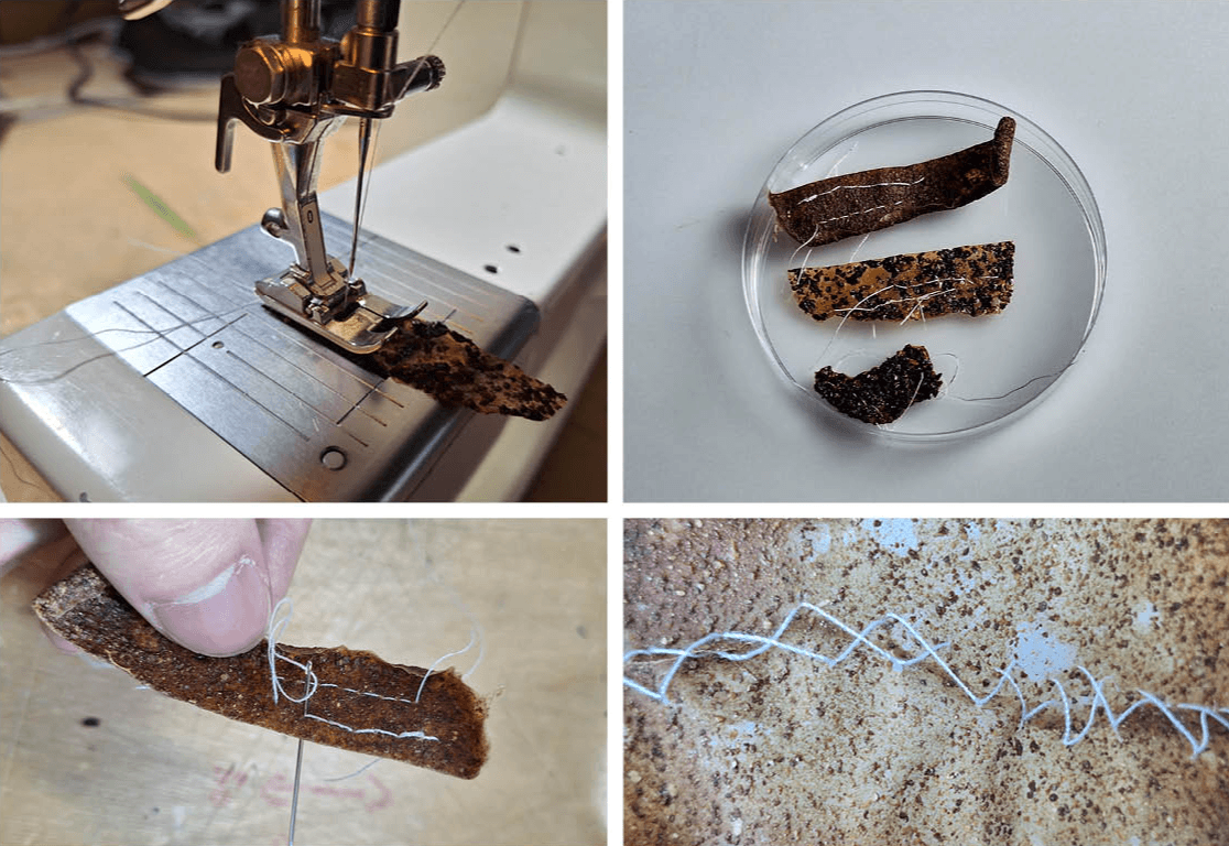 Final major project: Nuts, portfolio item 12