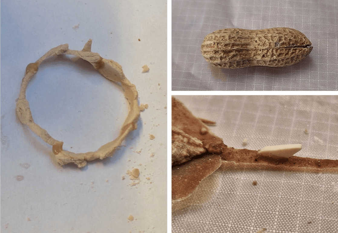 Final major project: Nuts, portfolio item 11
