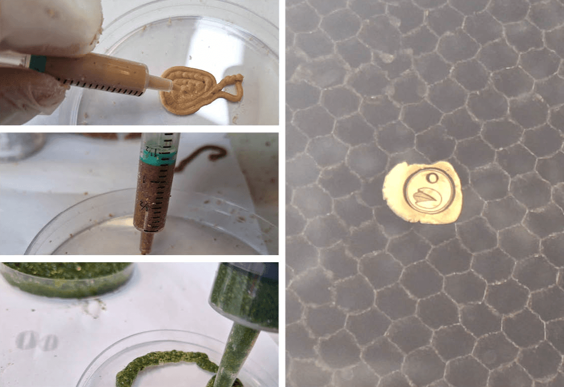 Final major project: Nuts, portfolio item 14