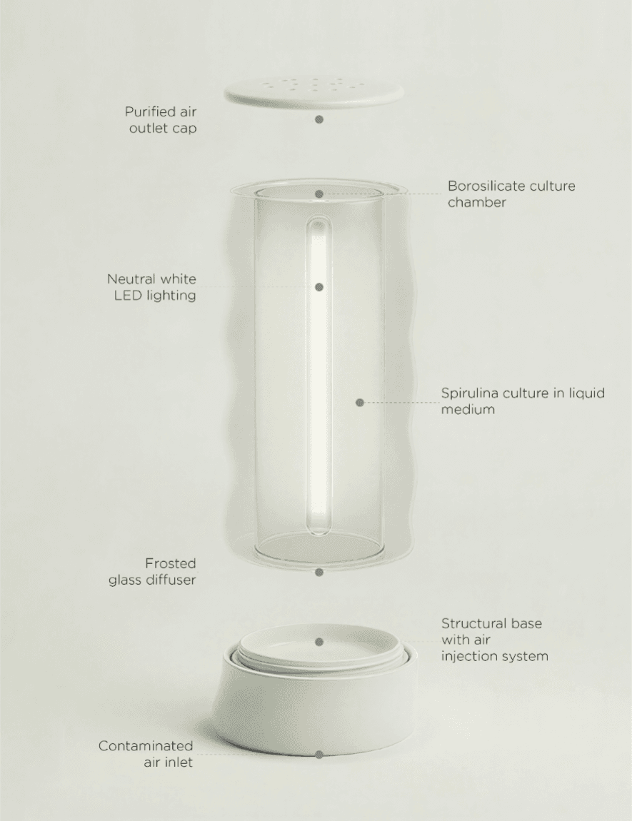 Lumet, portfolio item 7