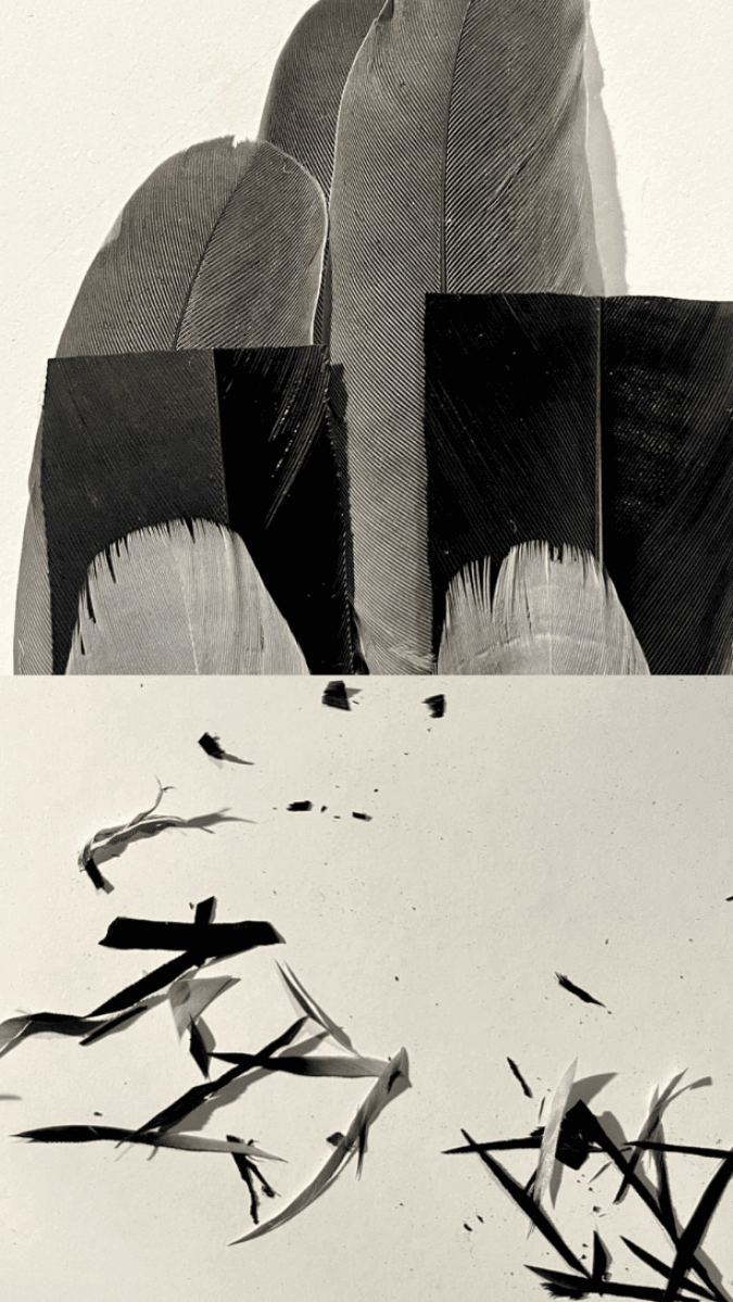 Rustruimte, portfolio item 10