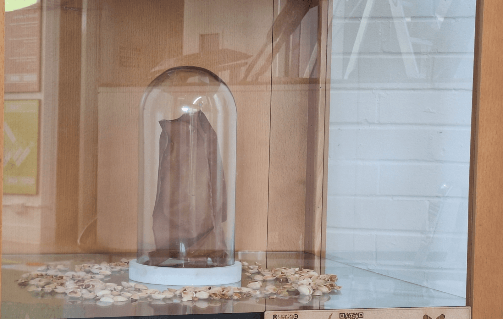 Final major project: Nuts, portfolio item 52