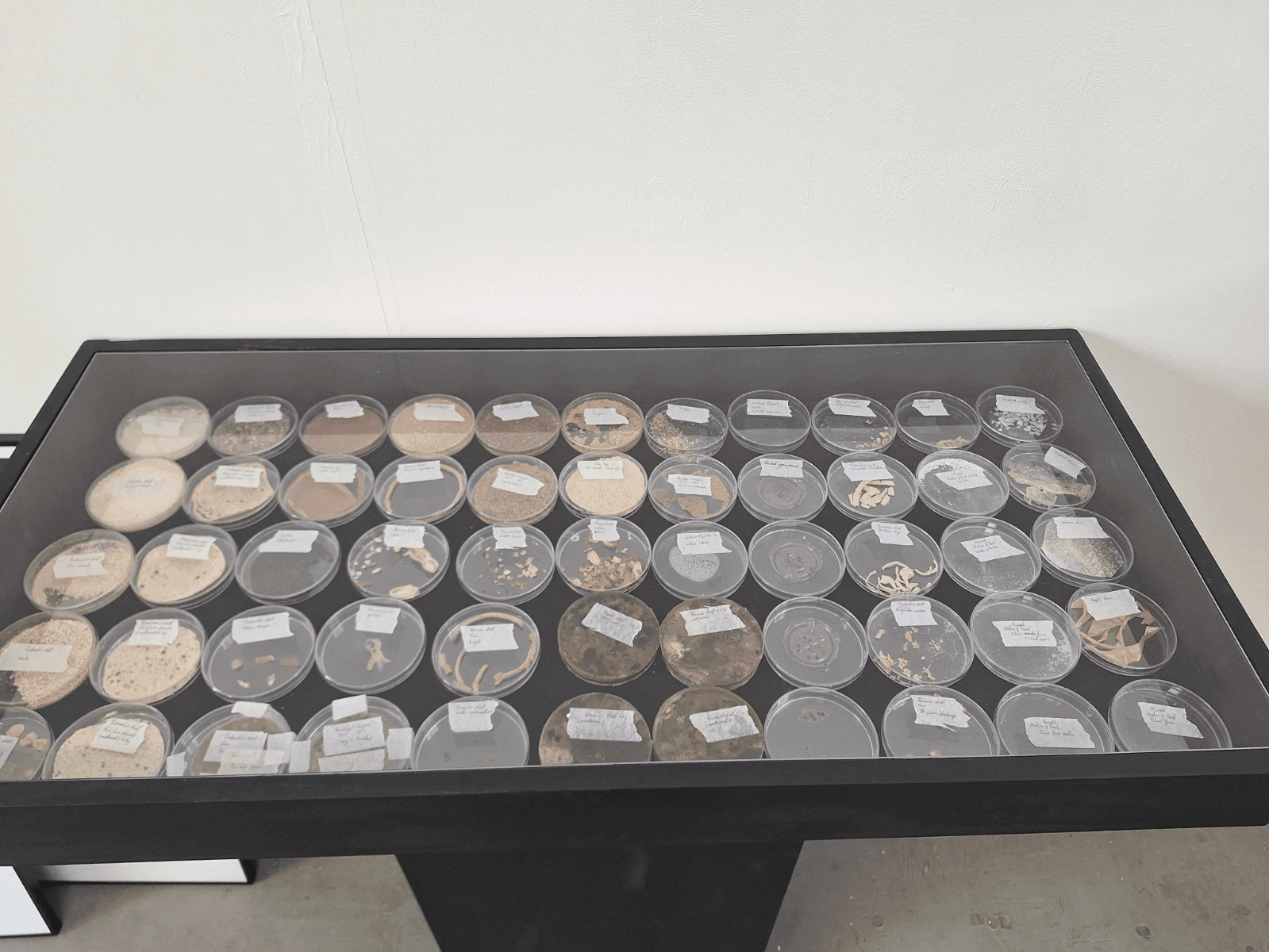Final major project: Nuts, portfolio item 53