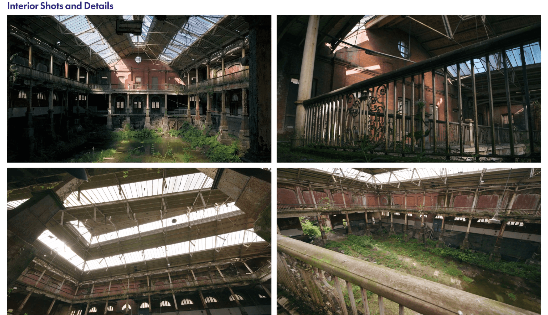 Iveagh Theatre, portfolio item 5