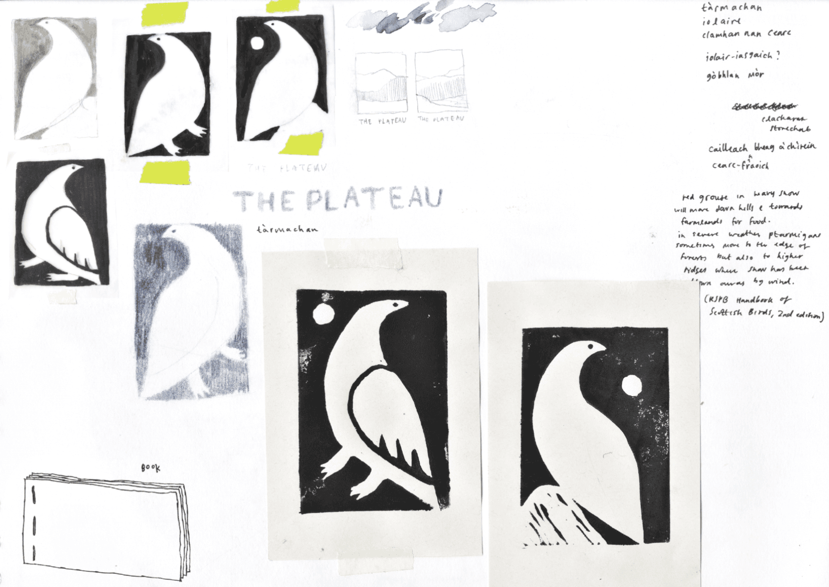 The plateau (in response to the living mountain), portfolio item 8