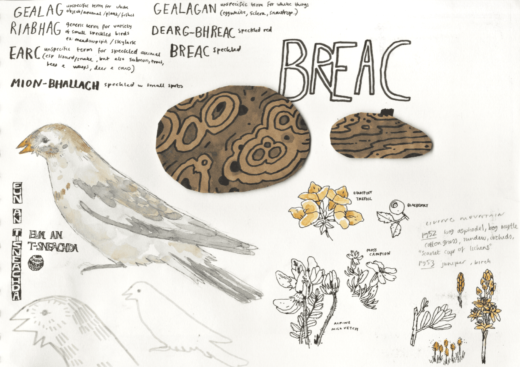 The plateau (in response to the living mountain), portfolio item 10