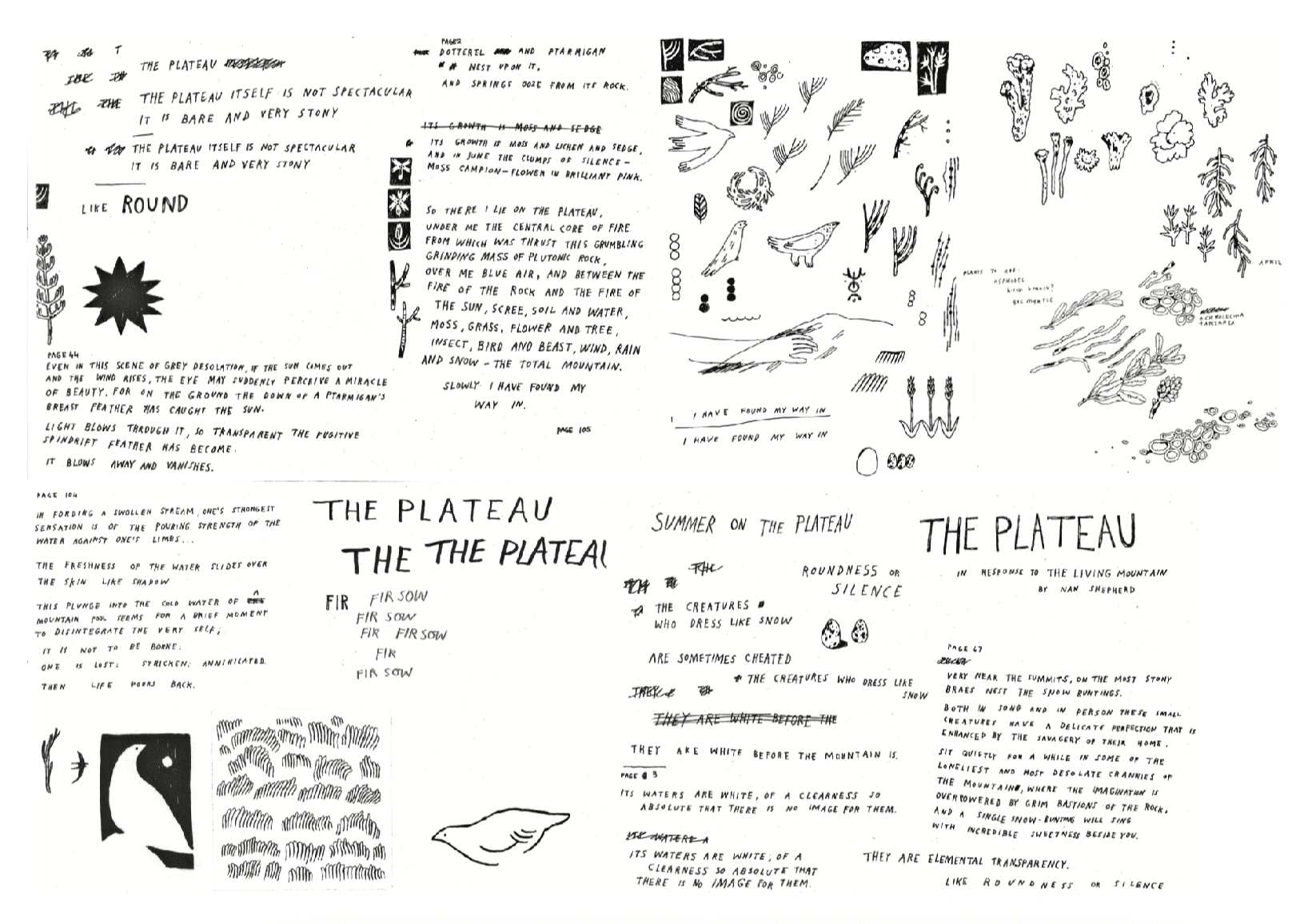 The plateau (in response to the living mountain), portfolio item 11