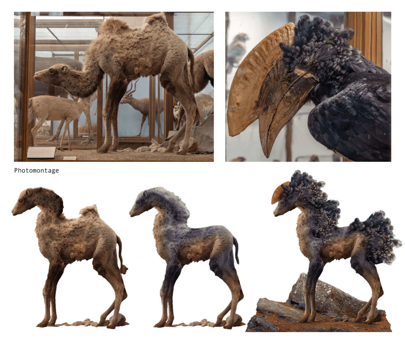 Expedition Earth: Creatures of Utopia, portfolio item 15