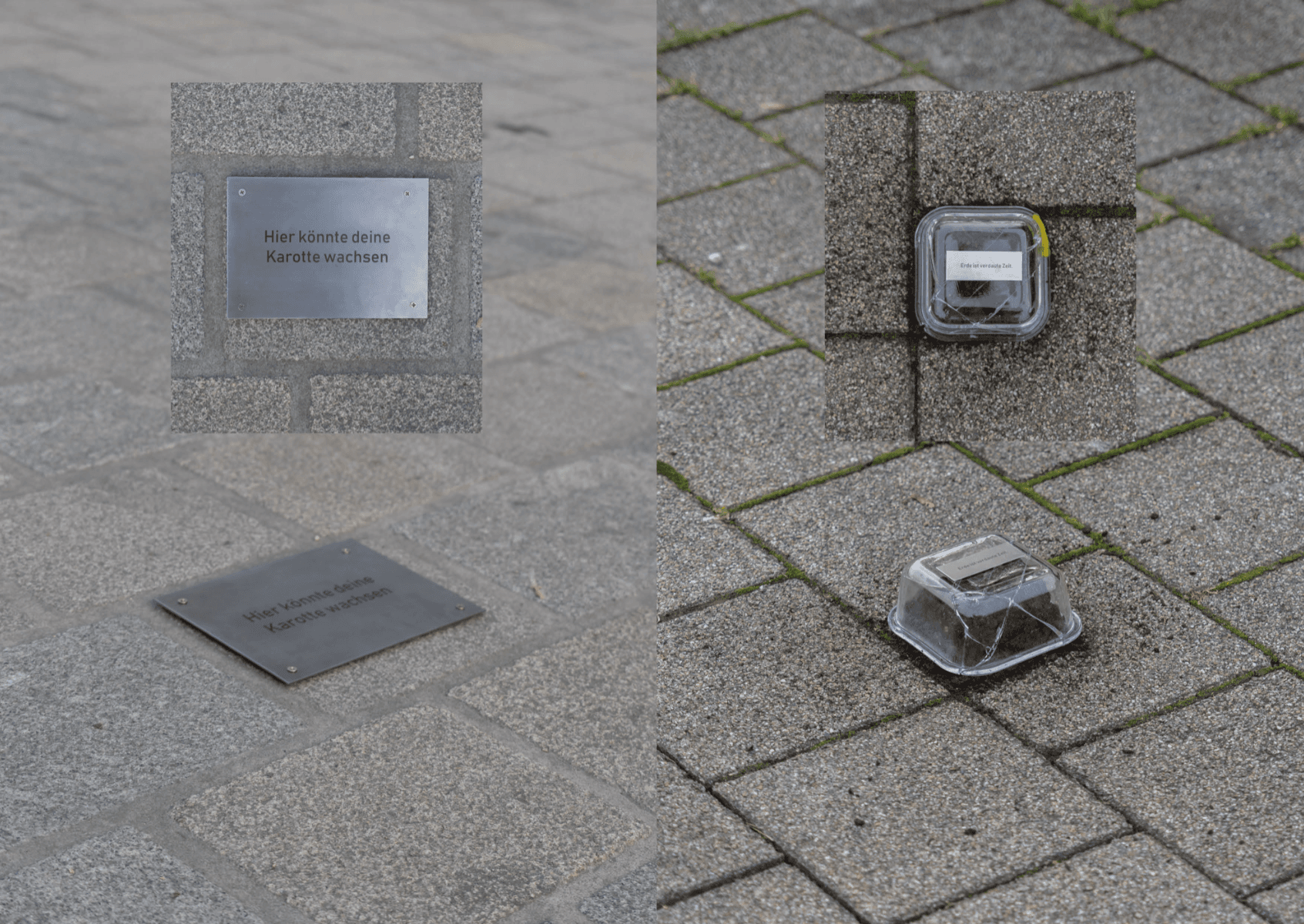 Kulturzentrum Erde, portfolio item 3