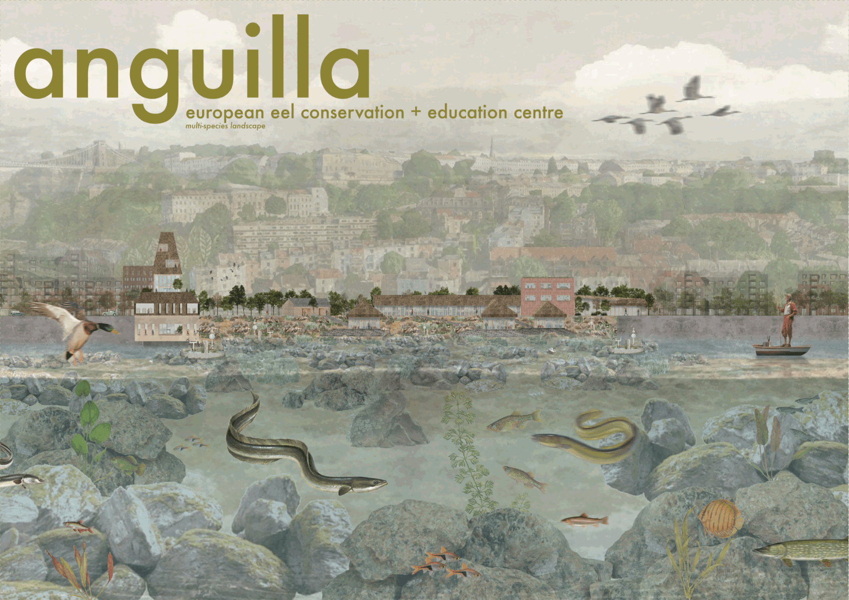 Anguilla, portfolio item 1
