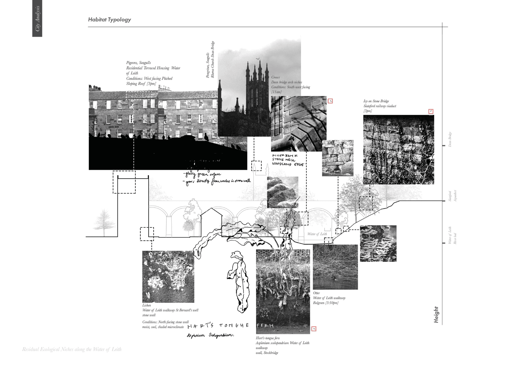 Entangled interfaces, portfolio item 18