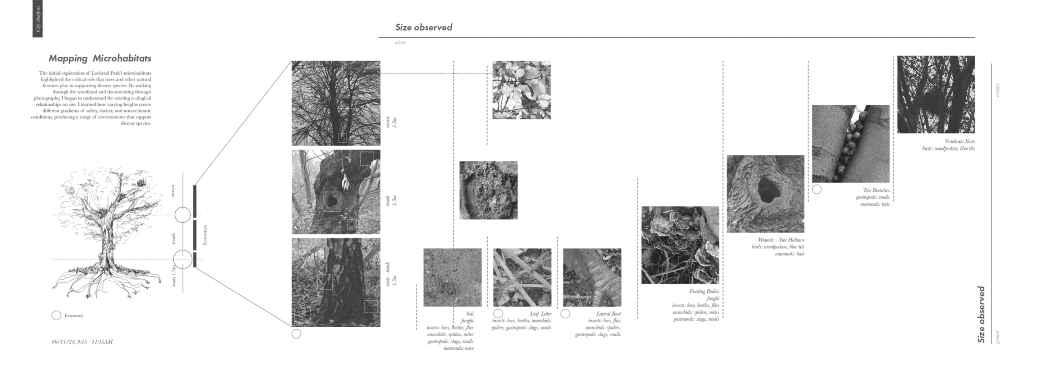 Entangled interfaces, portfolio item 19