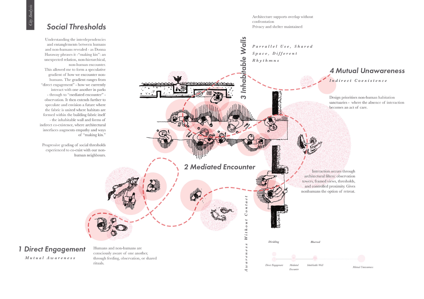 Entangled interfaces, portfolio item 21