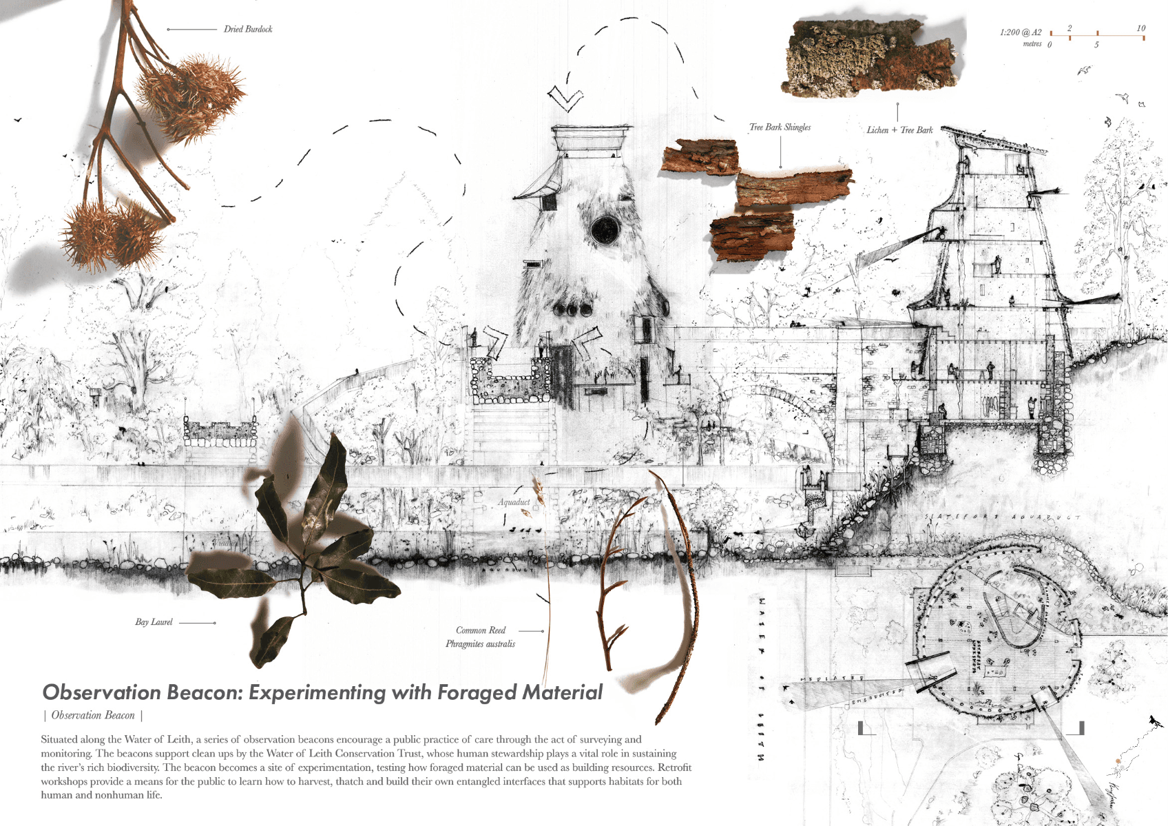 Entangled interfaces, portfolio item 9