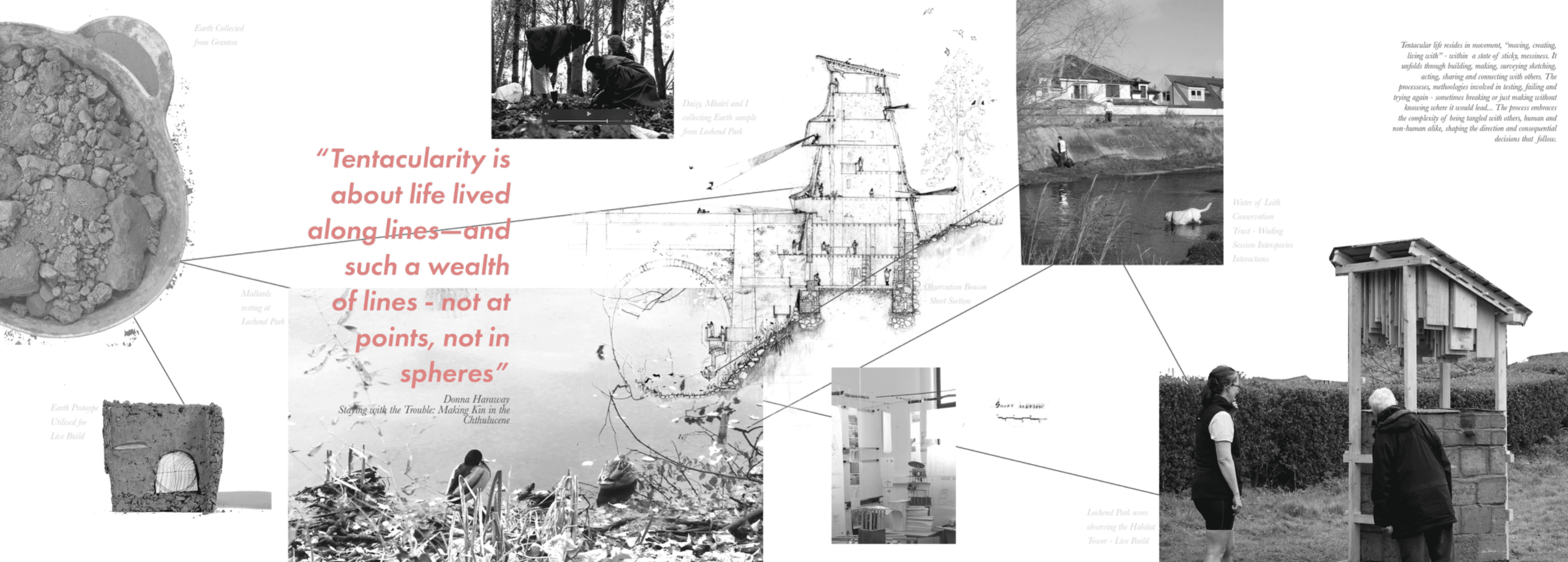 Entangled interfaces, portfolio item 22