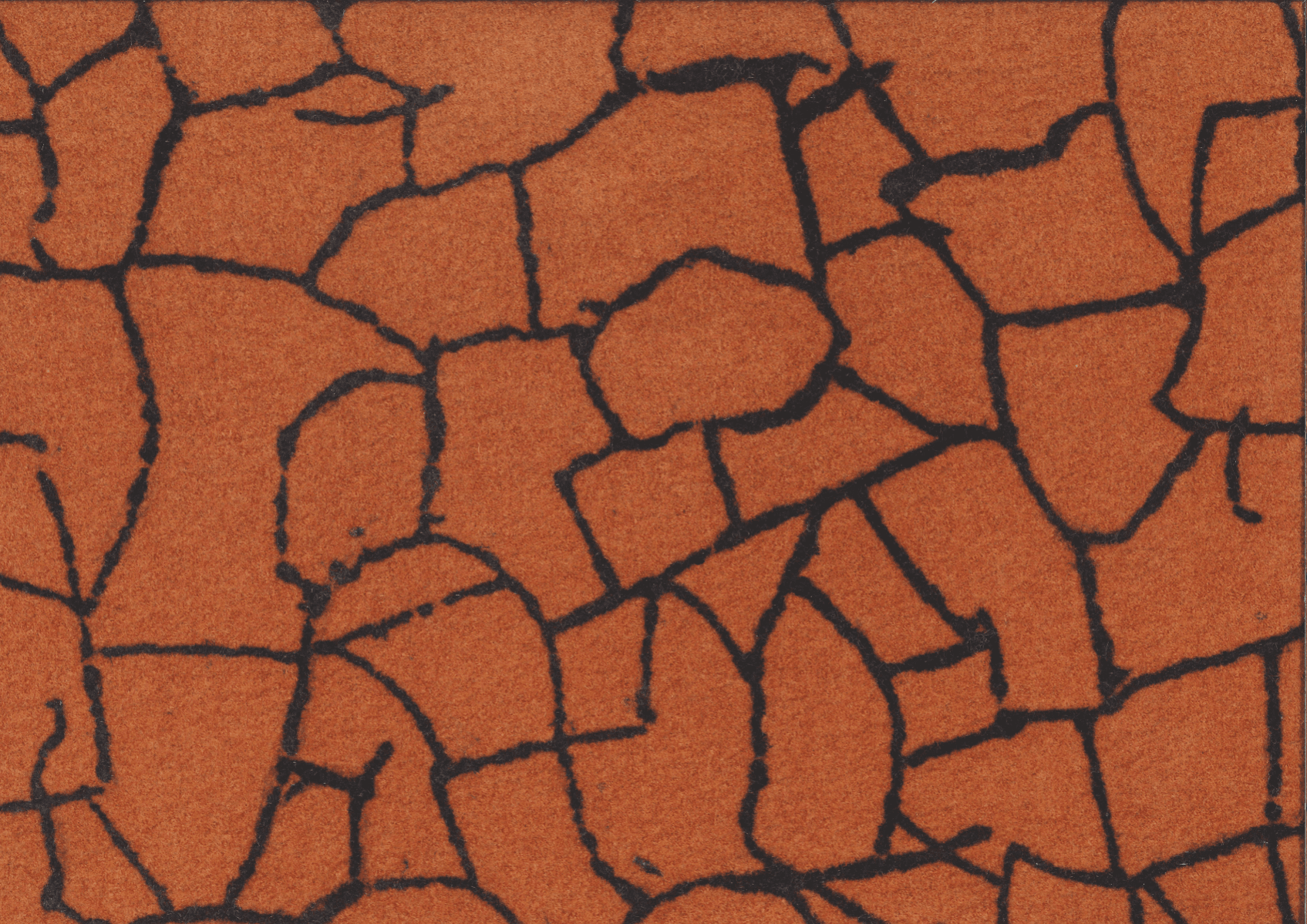 Terraformé, portfolio item 17