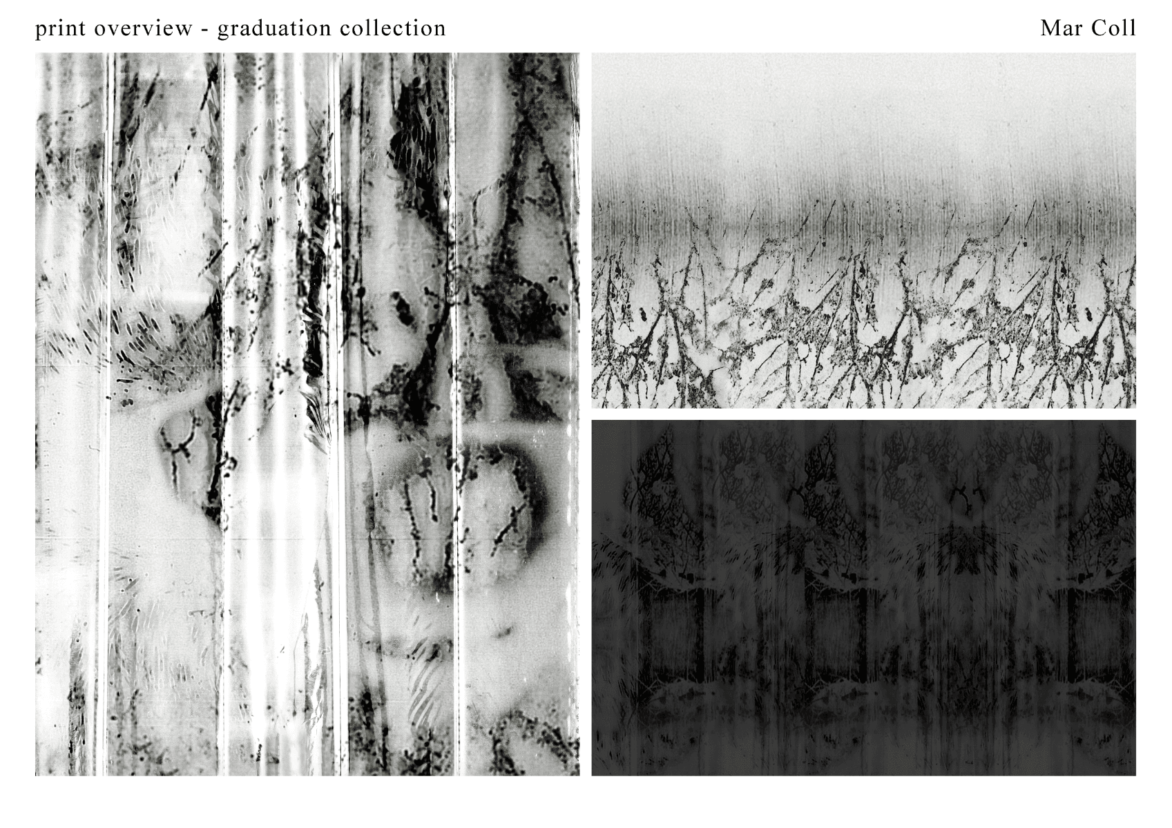 Obscura, portfolio item 7