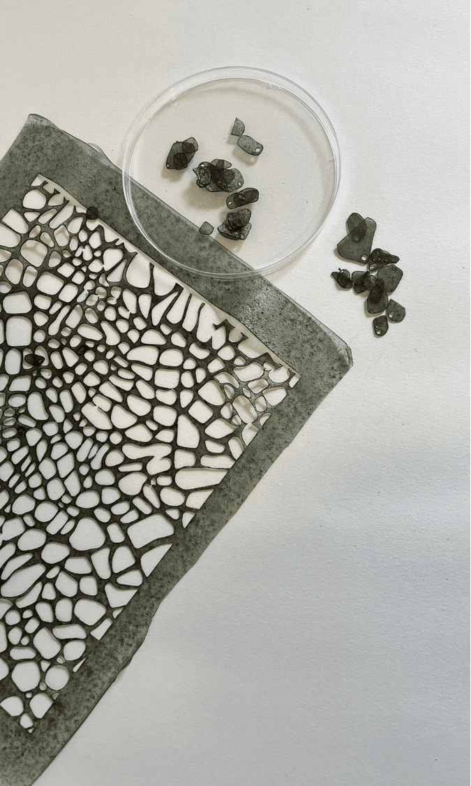 Fragments of Shrinking Shore, portfolio item 1